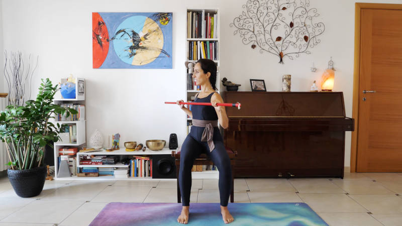 03. Mobilità e forza con lo stick